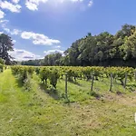 Spacieux De 8 Au Coeur Des Vignes D'anjou - Fr-1-622-112