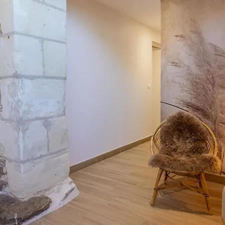 Spacieux De 8 Au Cœur Des Vignes D'anjou - Fr-1-622-112