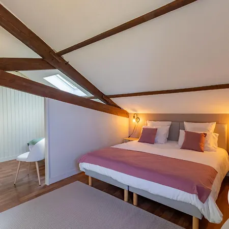 Spacieux De 8 Au Cœur Des Vignes D'anjou - Fr-1-622-112 Hébergement de vacances *