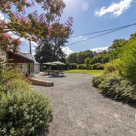 Hébergement de vacances Spacieux De 8 Au Cœur Des Vignes D'anjou - Fr-1-622-112 Blaison-Saint-Sulpice