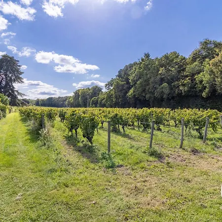 Spacieux De 8 Au Cœur Des Vignes D'anjou - Fr-1-622-112